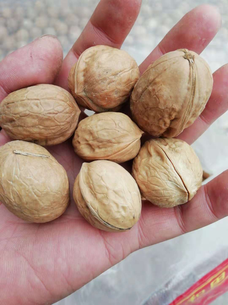 新疆薄皮小果25mm70元一件