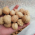 新疆薄皮小果25mm70元一件