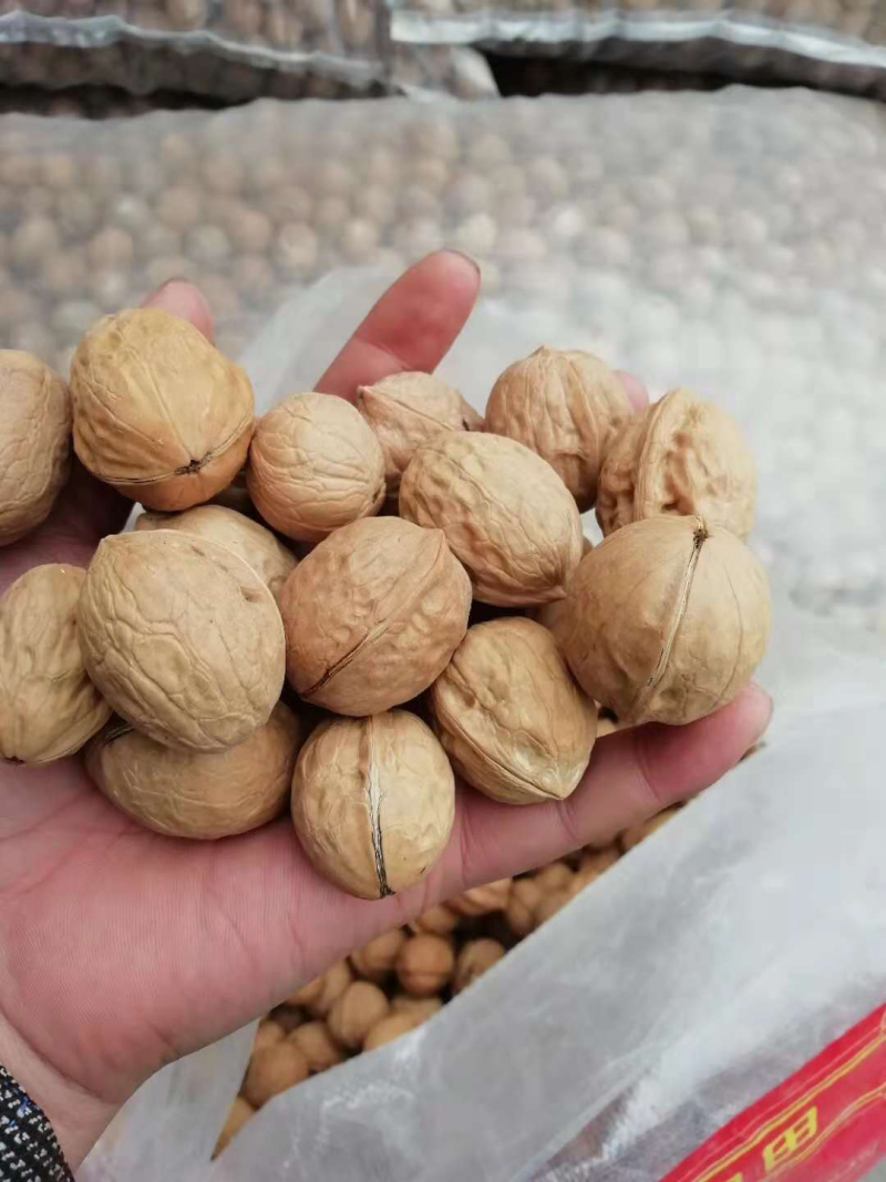 新疆薄皮小果25mm70元一件
