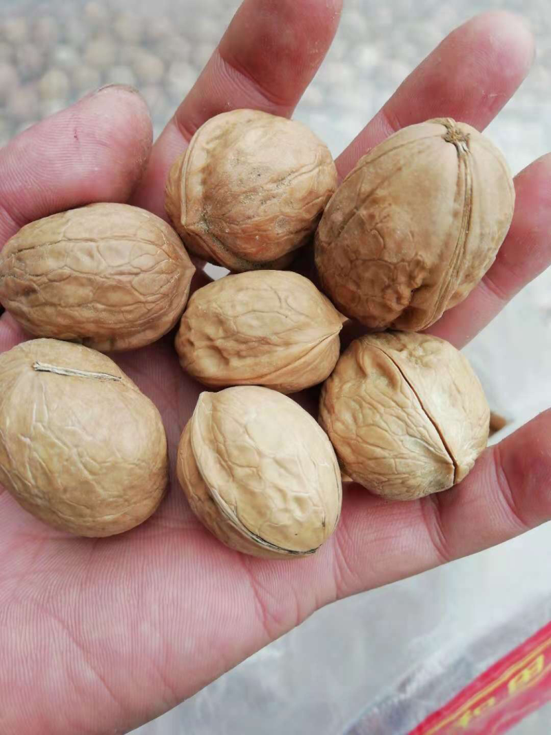 新疆薄皮小果25mm70元一件