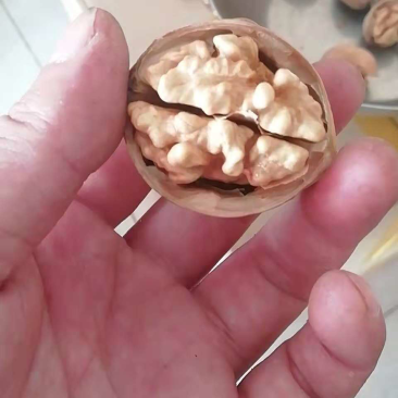 新疆185纸皮核桃