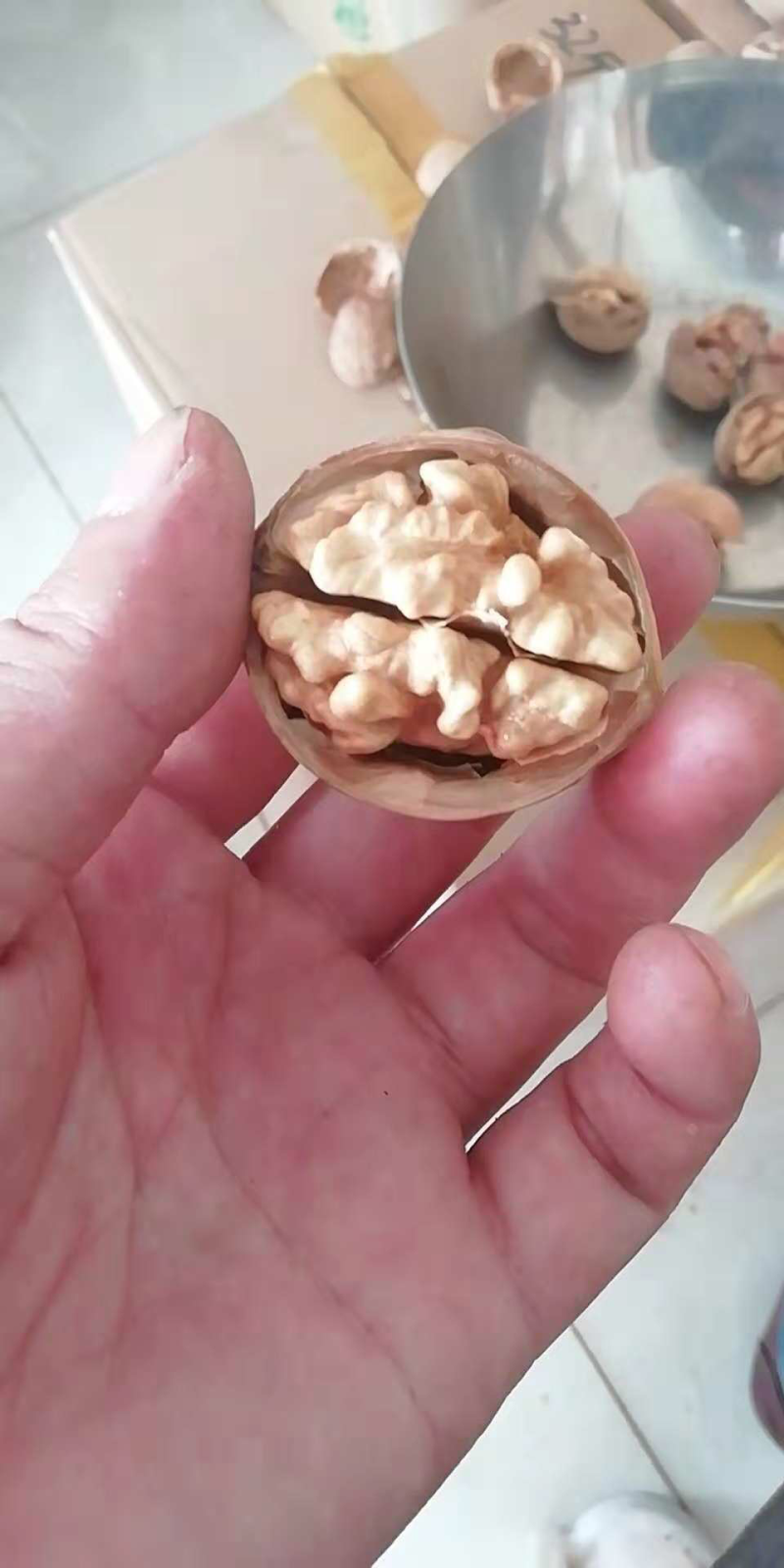 新疆185纸皮核桃