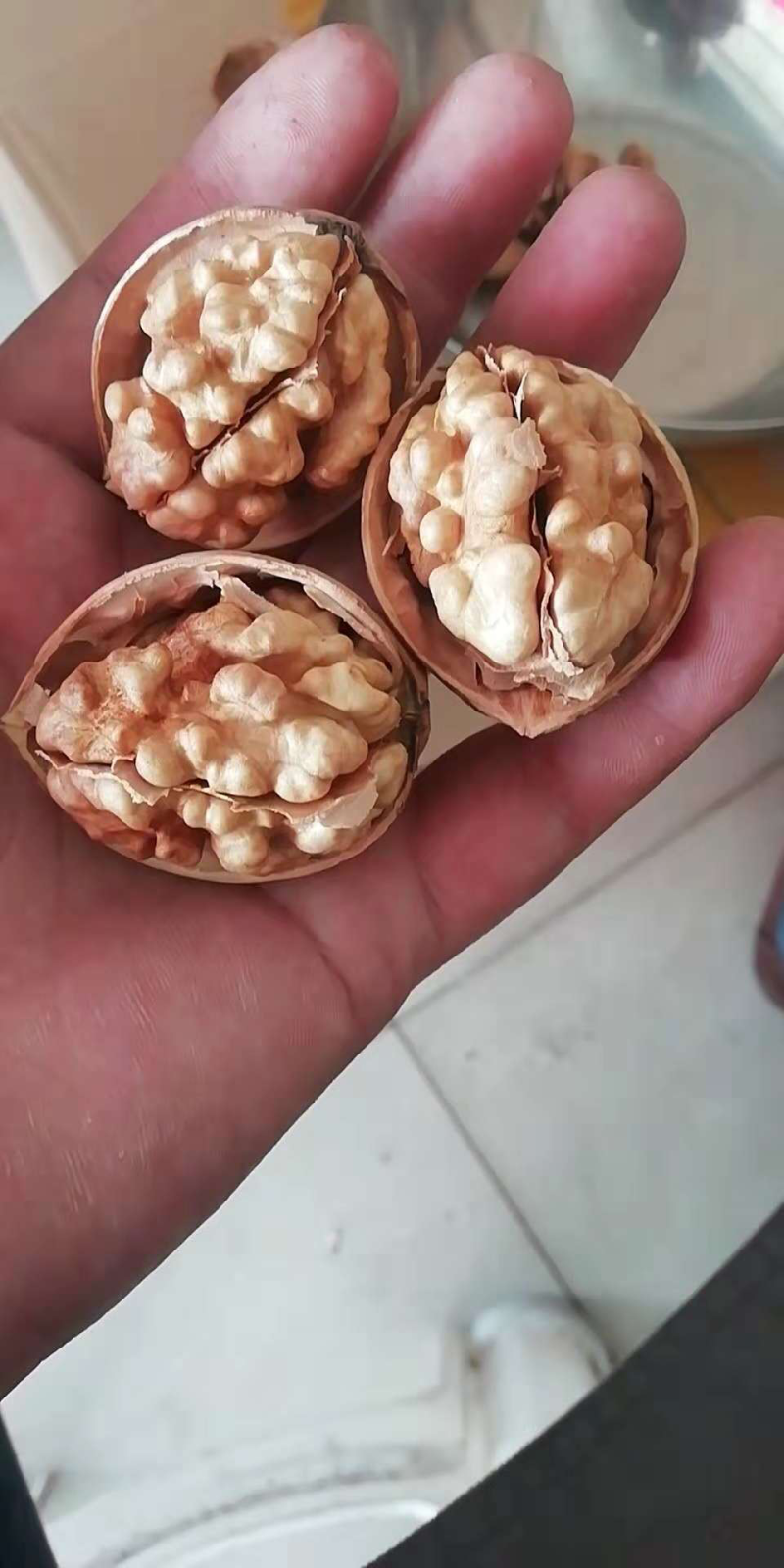 新疆185纸皮核桃