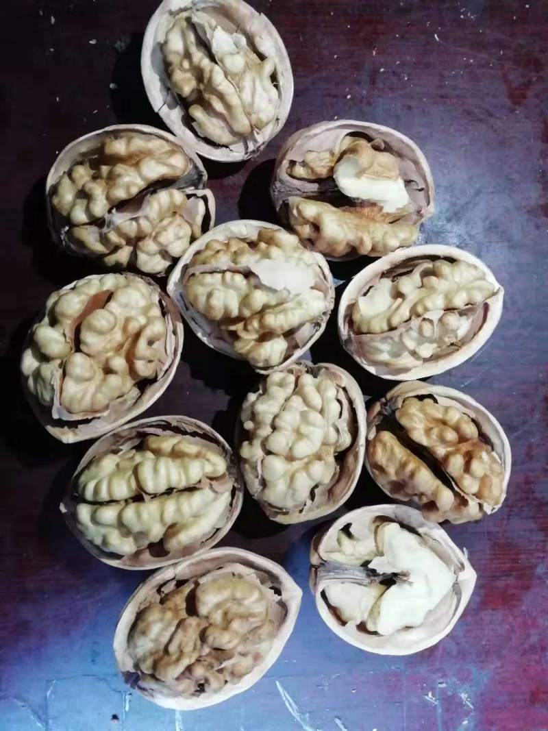新疆185纸皮核桃