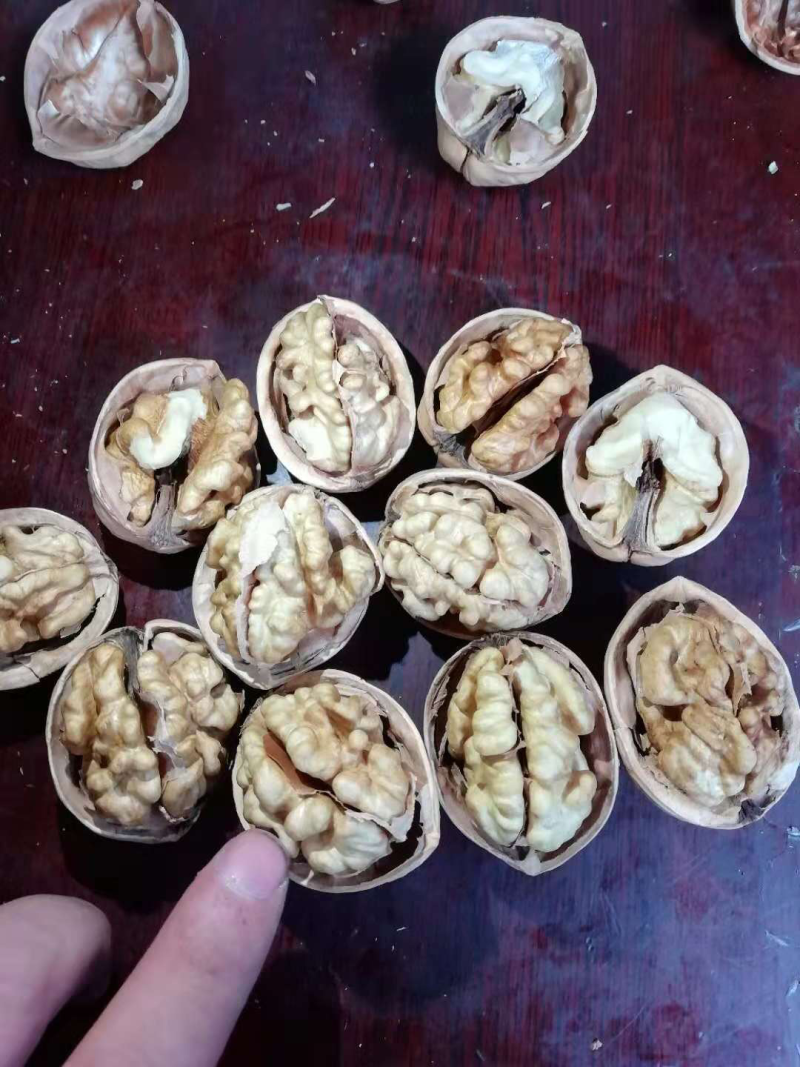 新疆185纸皮核桃