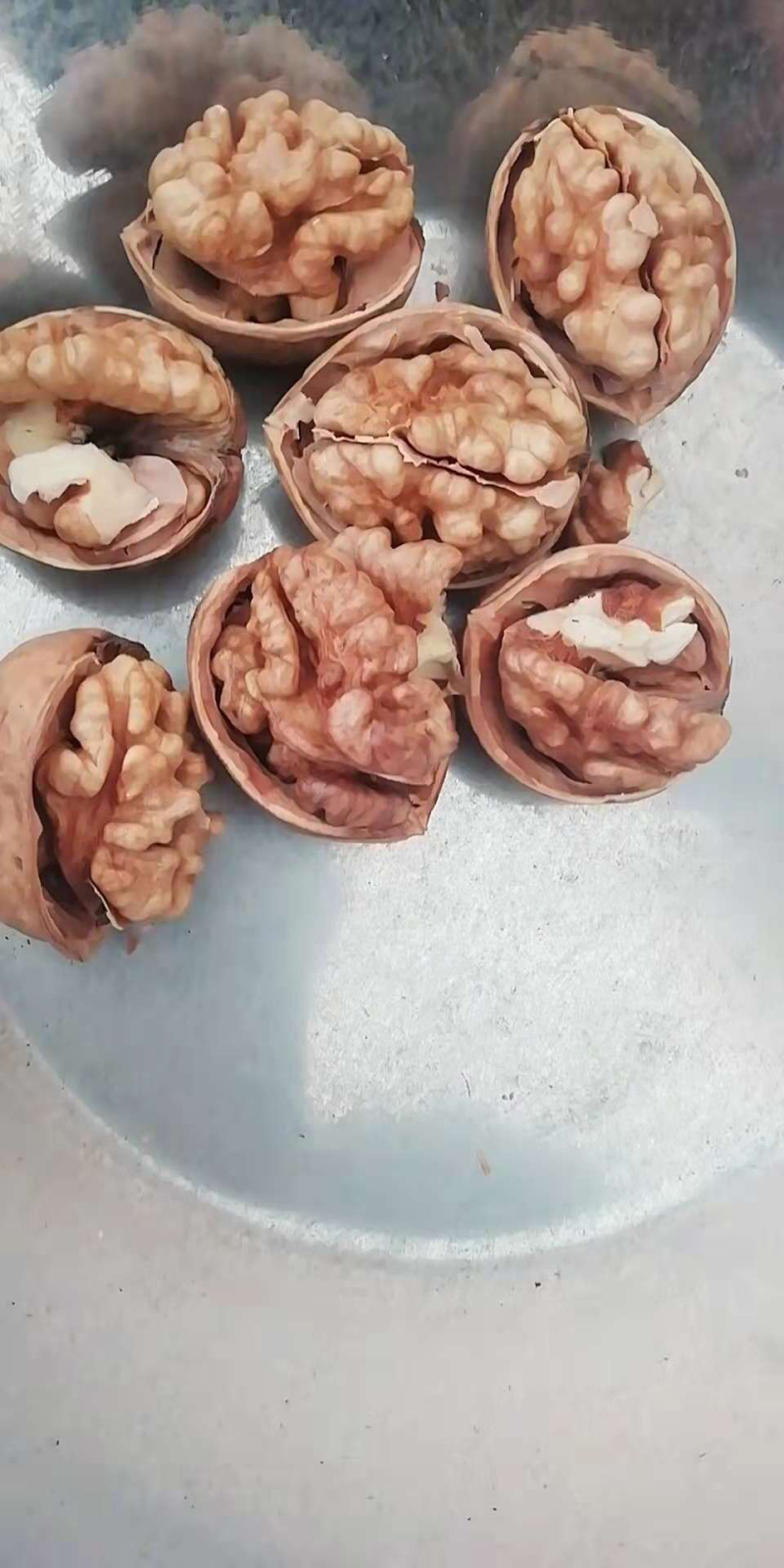 新疆185纸皮核桃