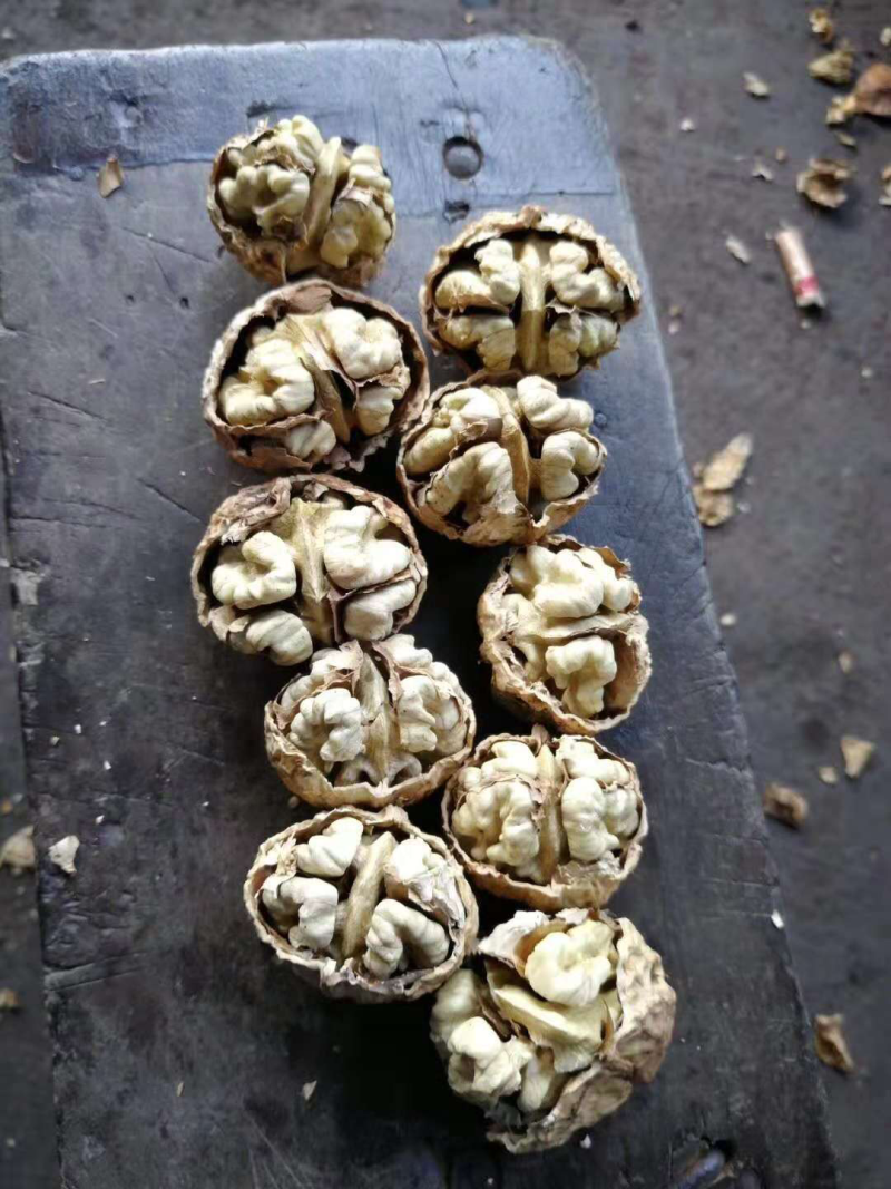 云南大麻子纸皮核桃50斤一件