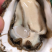 广东大蚝，2个/斤，全国发货，产地直供，生蚝