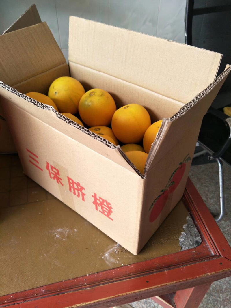 脐橙古田三保脐橙。口感脆甜