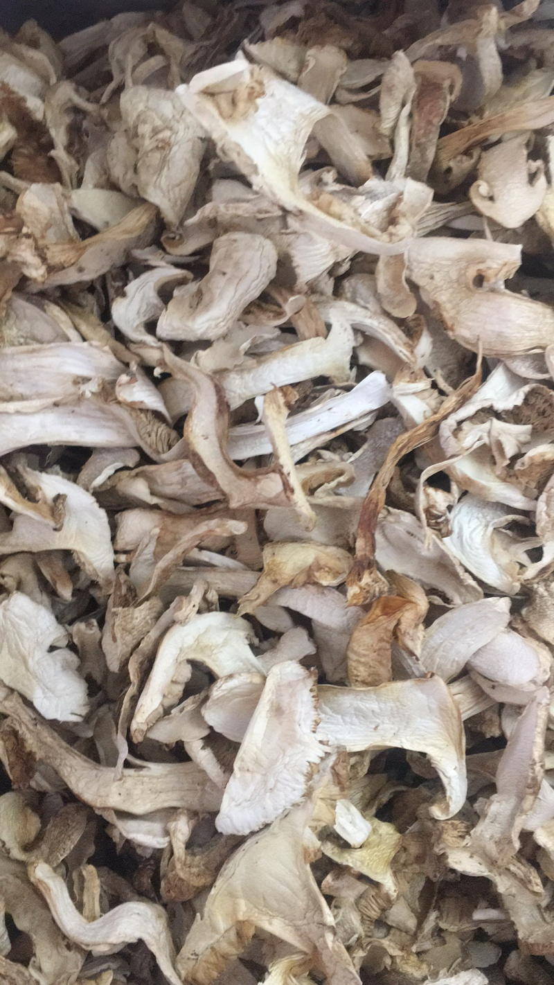松茸干片，野生松茸菌，云南野生食用菌批发