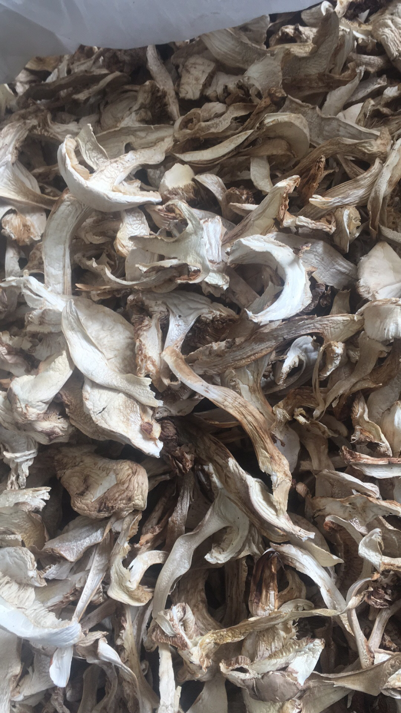 松茸干片，野生松茸菌，云南野生食用菌批发