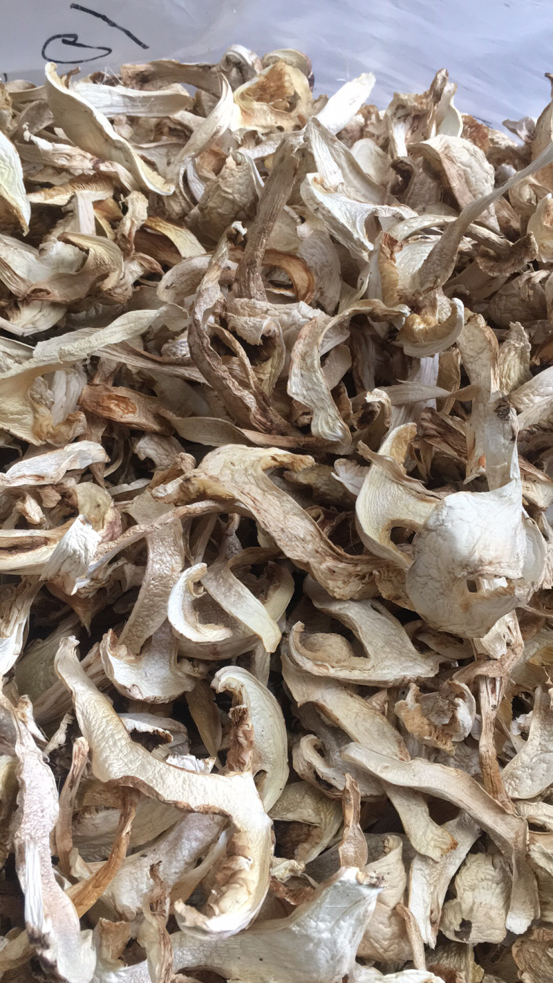 松茸干片，野生松茸菌，云南野生食用菌批发