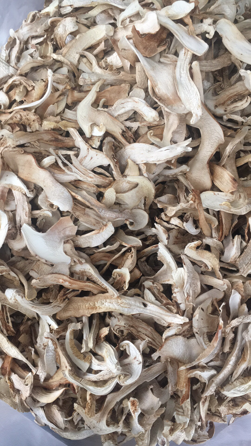 松茸干片，野生松茸菌，云南野生食用菌批发
