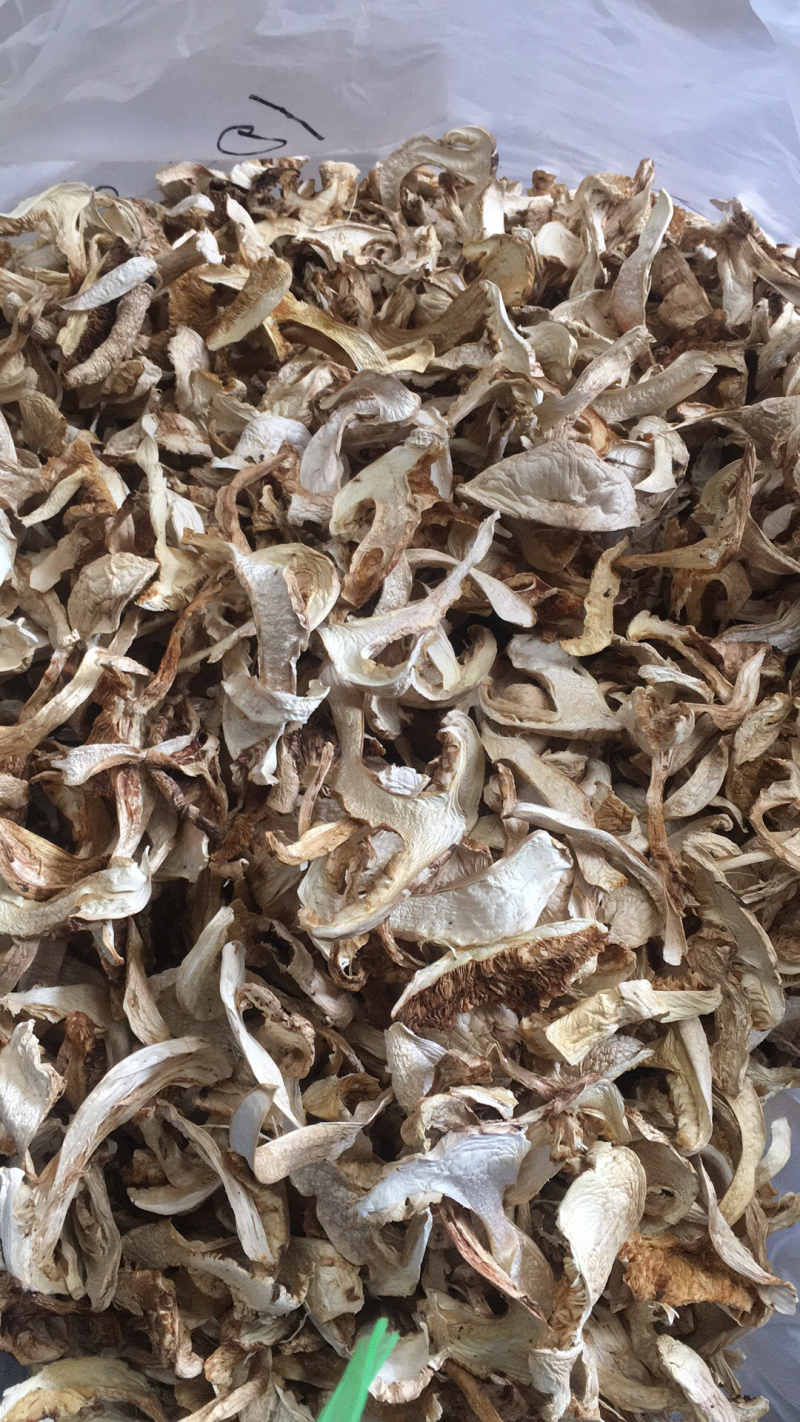 松茸干片，野生松茸菌，云南野生食用菌批发