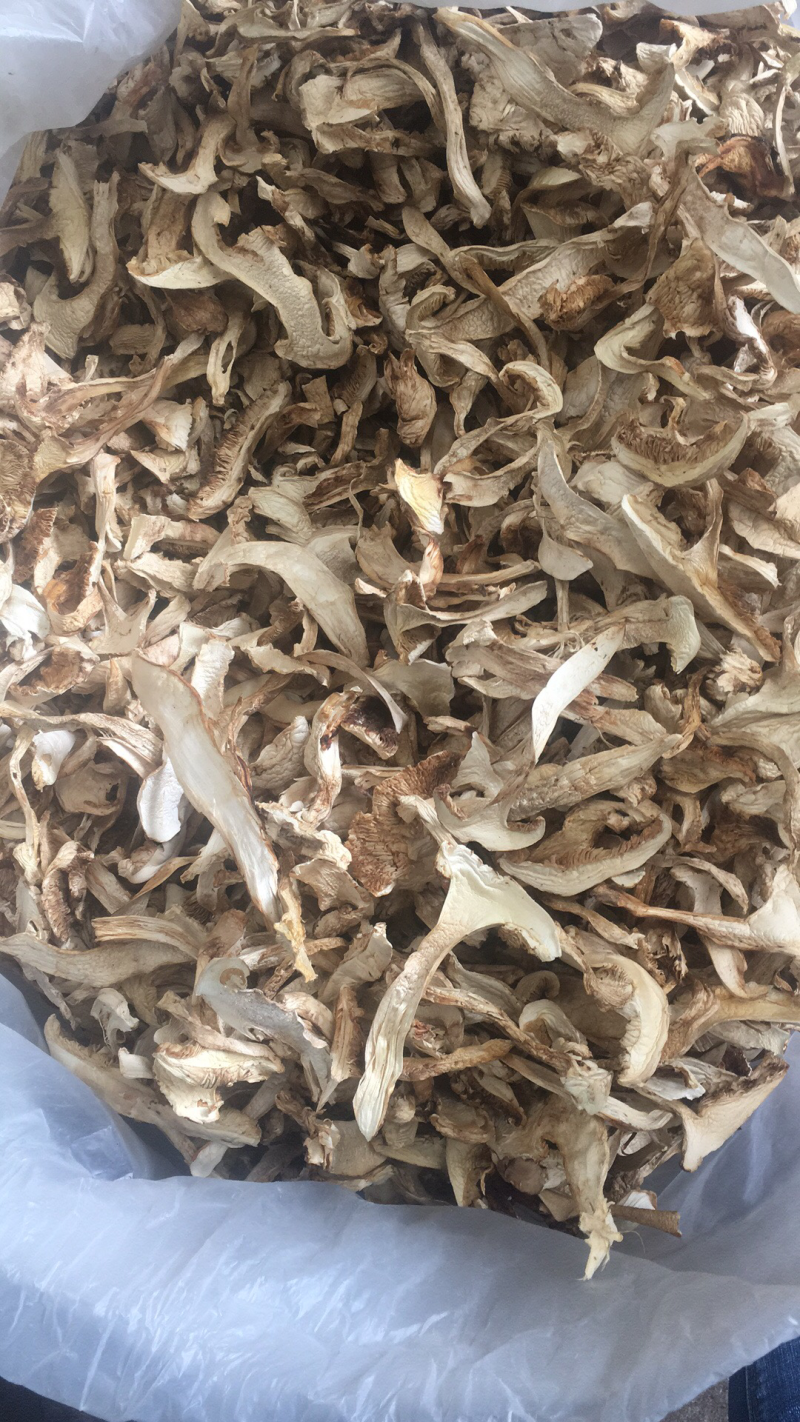 松茸干片，野生松茸菌，云南野生食用菌批发
