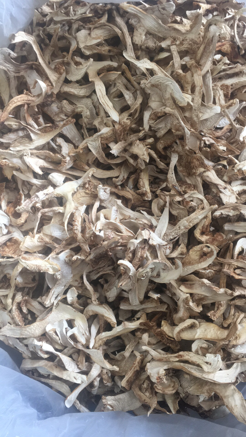 松茸干片，野生松茸菌，云南野生食用菌批发