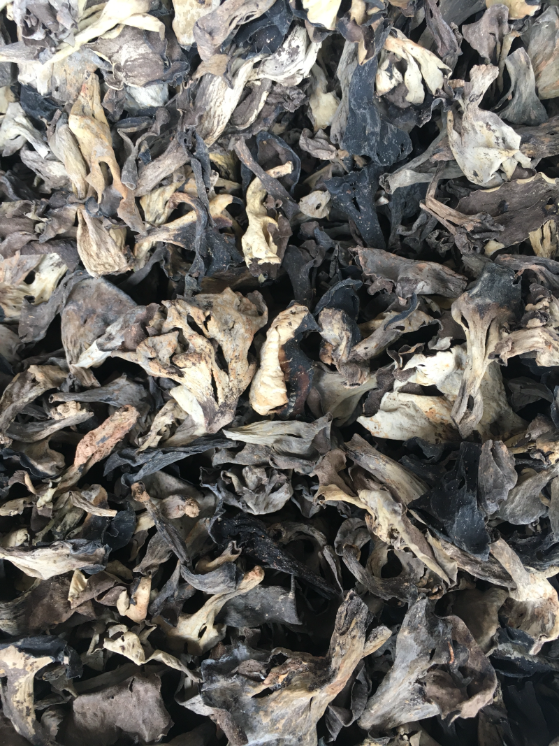 野生菌，野生黑喇叭菌，灰喇叭菌