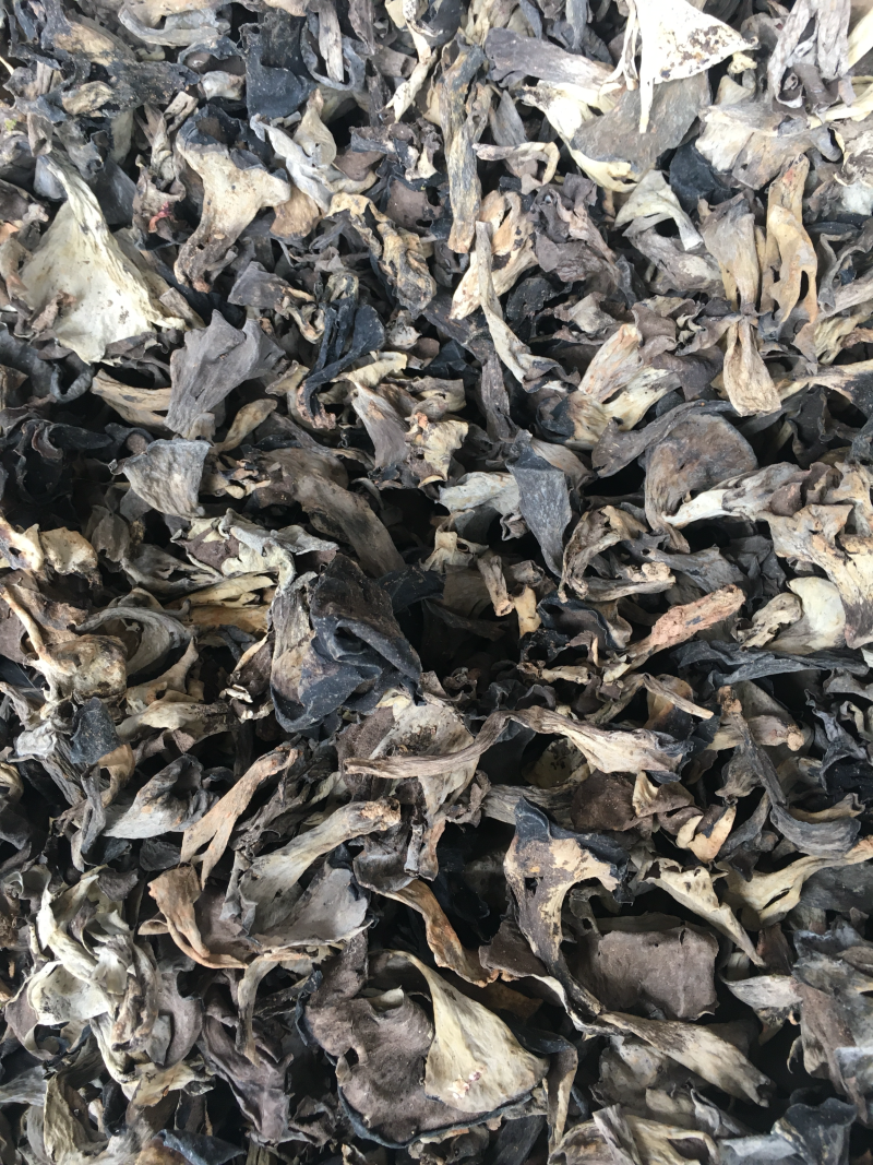 野生菌，野生黑喇叭菌，灰喇叭菌