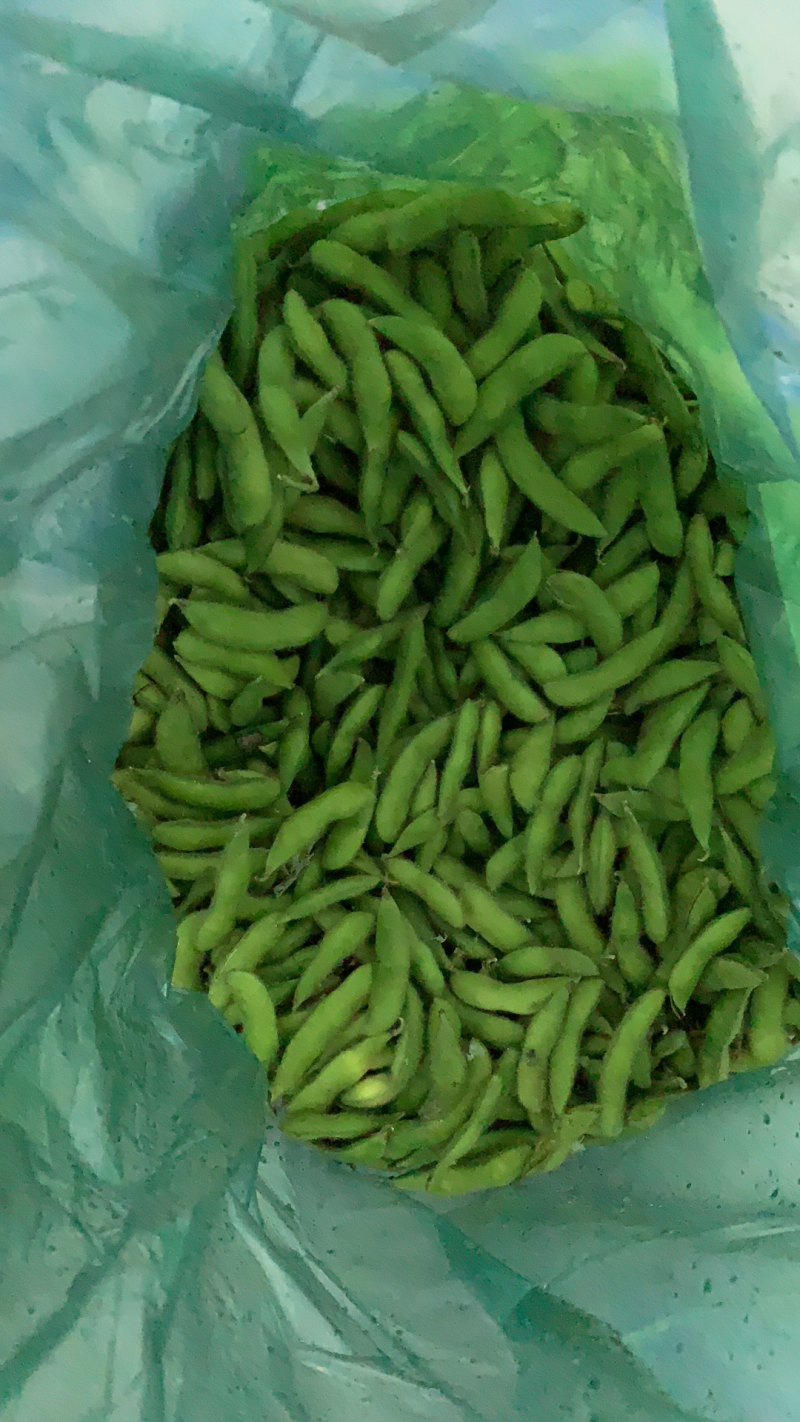 精品毛豆基地直发可视频看货对接电商市场商超