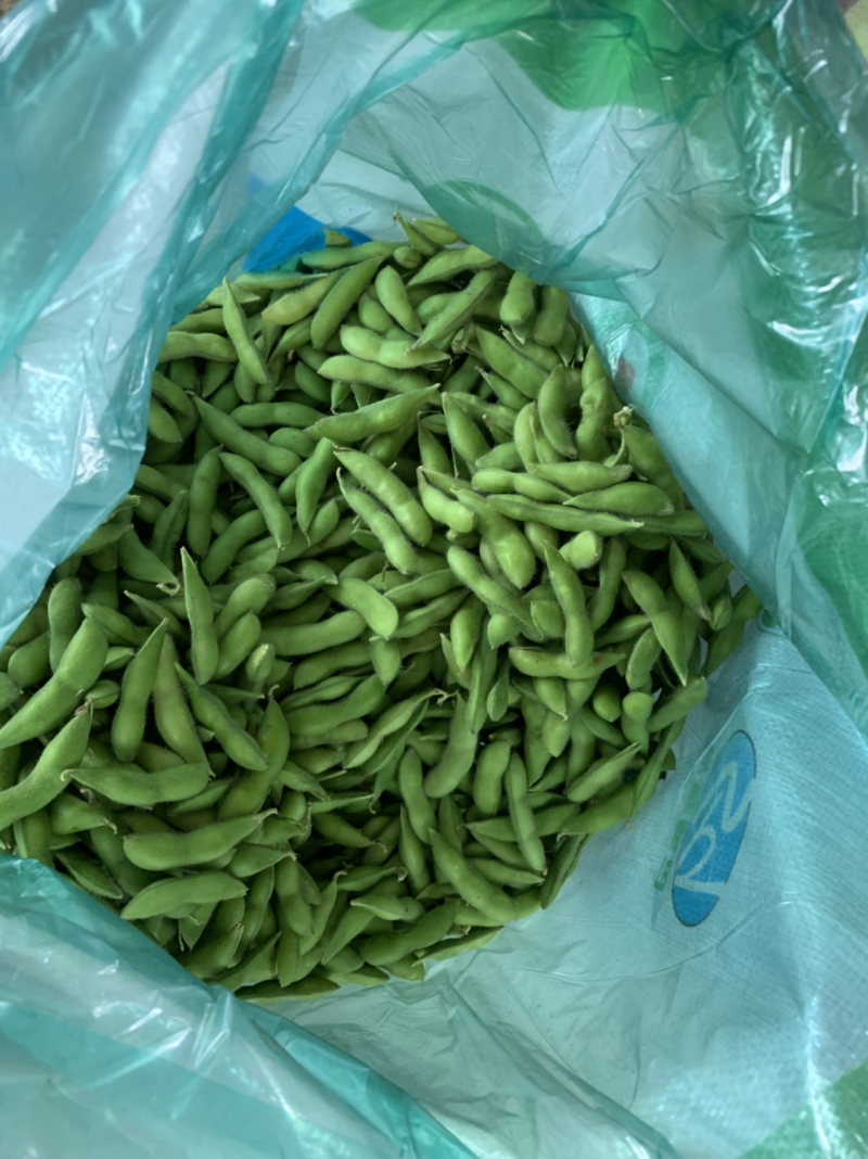 精品毛豆基地直发可视频看货对接电商市场商超