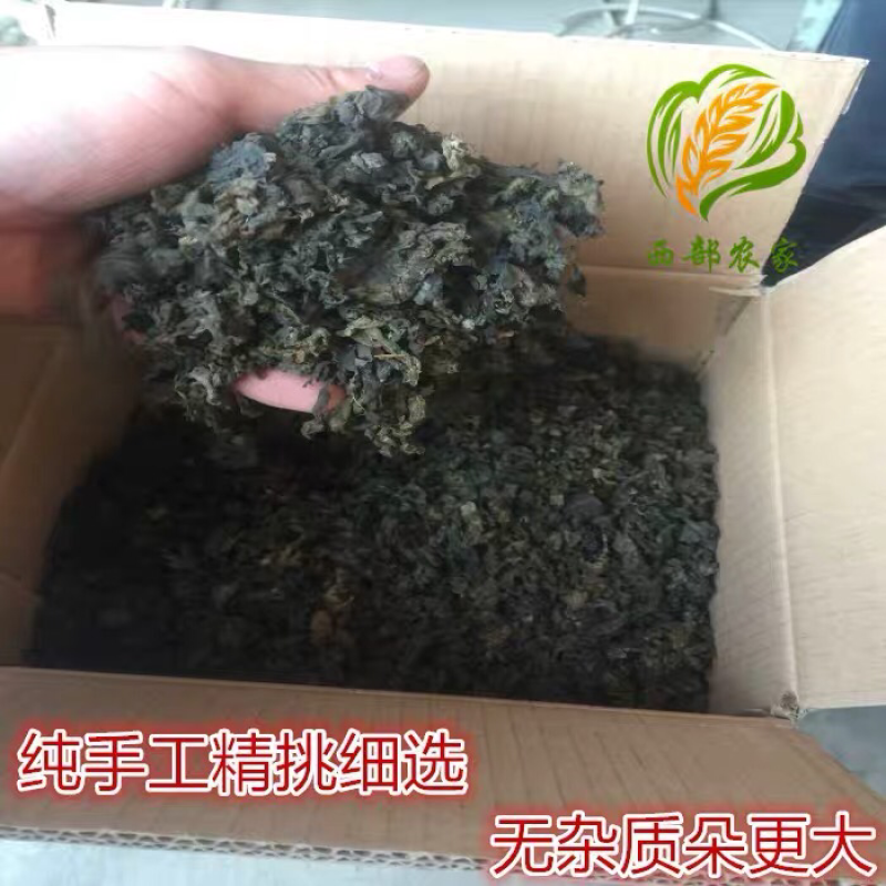 甘肃高原地皮菜地达菜野生木耳地衣菜500克包邮