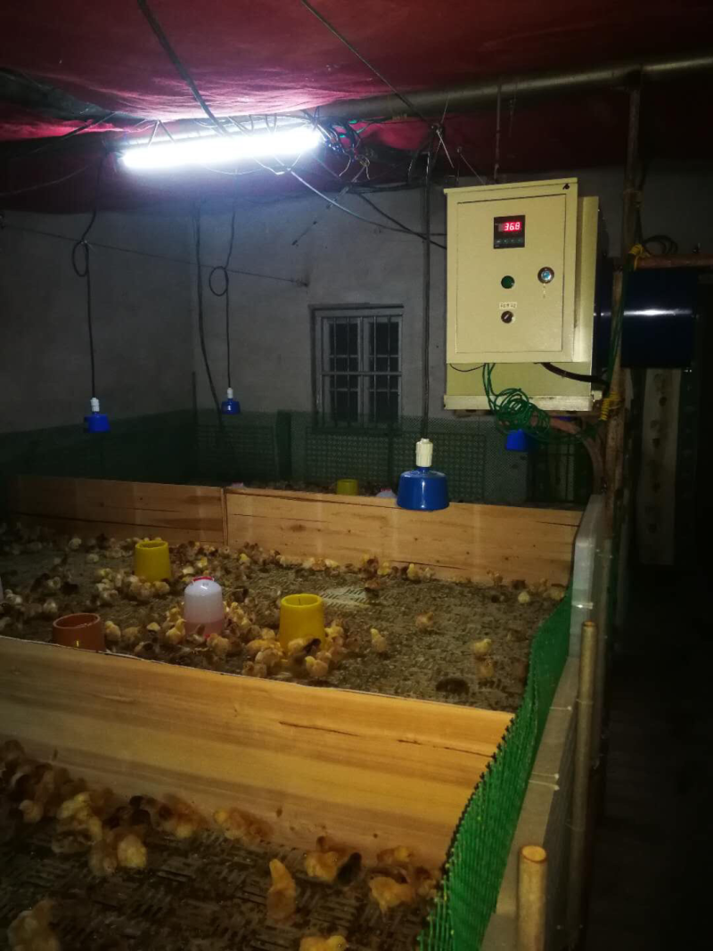 畜牧养殖育雏大棚供暖加温暖风机温室暖风机大棚电热风炉