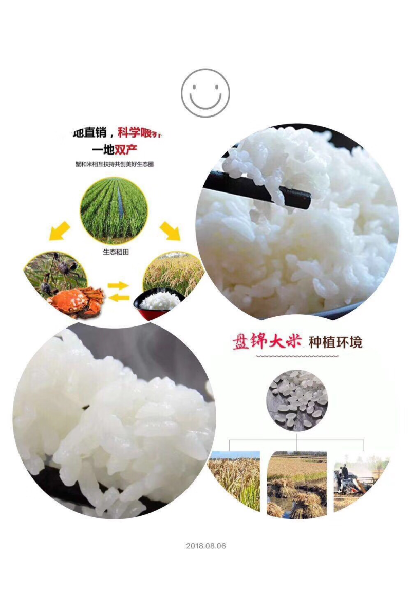 保真盘锦河蟹各种规格、成蟹、蟹苗