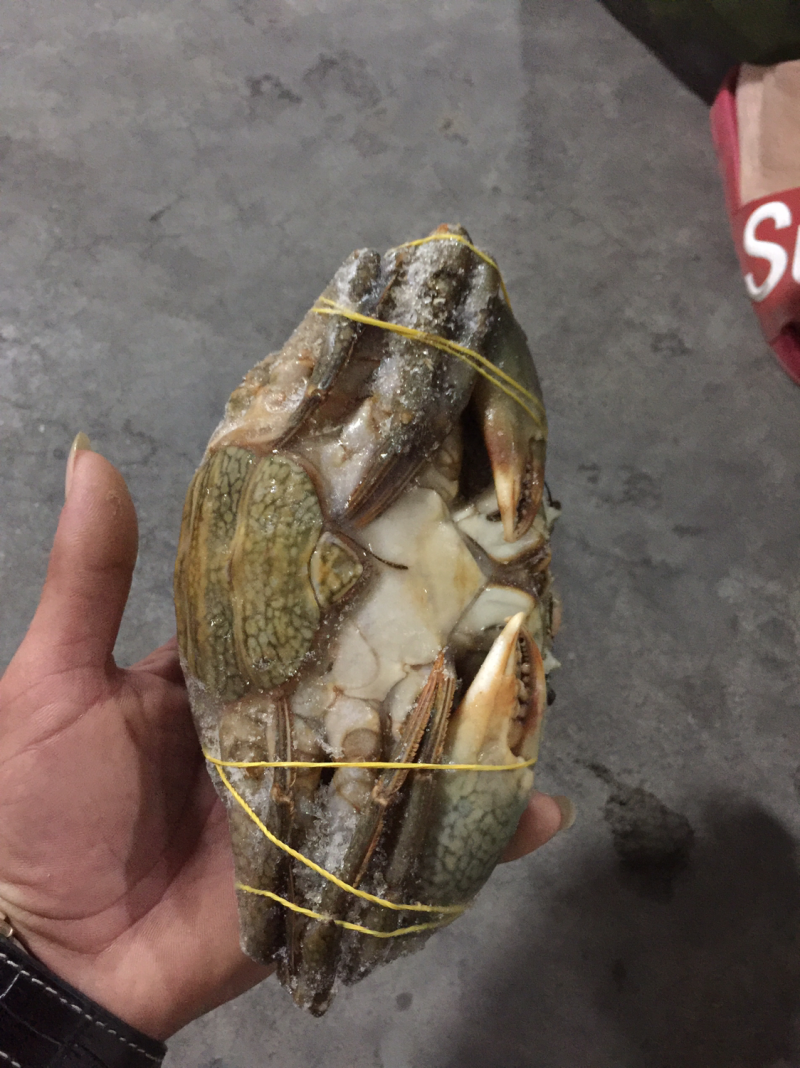 羔蟹