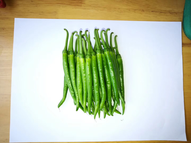 大量收购以上品种！需要品质好，价格合适，量大的可以联系我