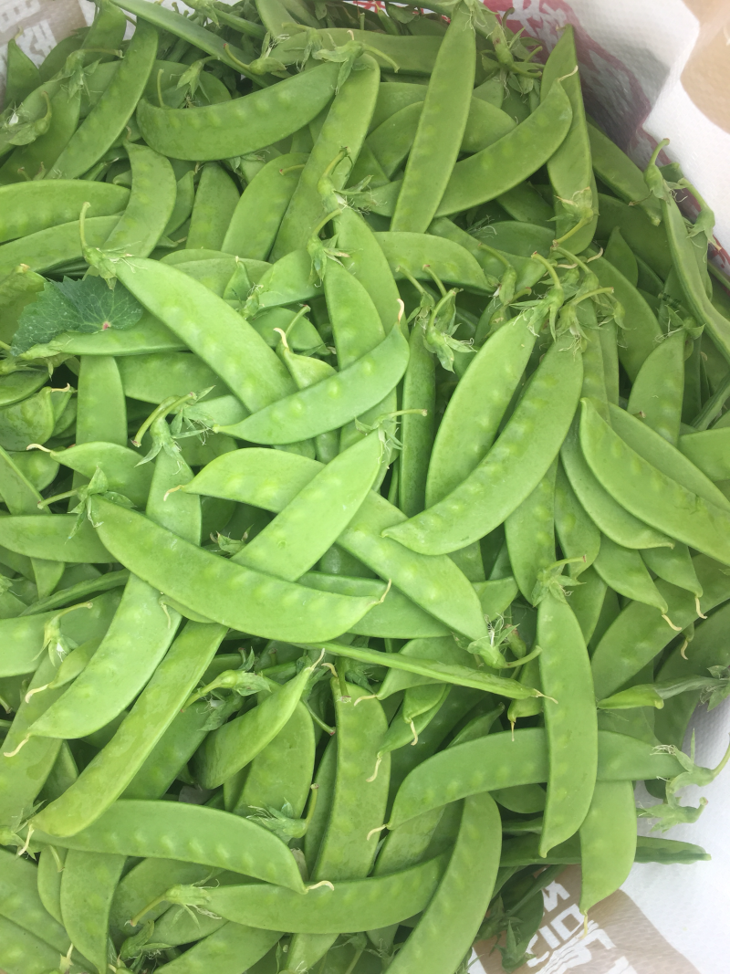 大量收购以上品种！需要品质好，价格合适，量大的可以联系我