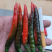 大量收购以上品种！需要品质好，价格合适，量大的可以联系我