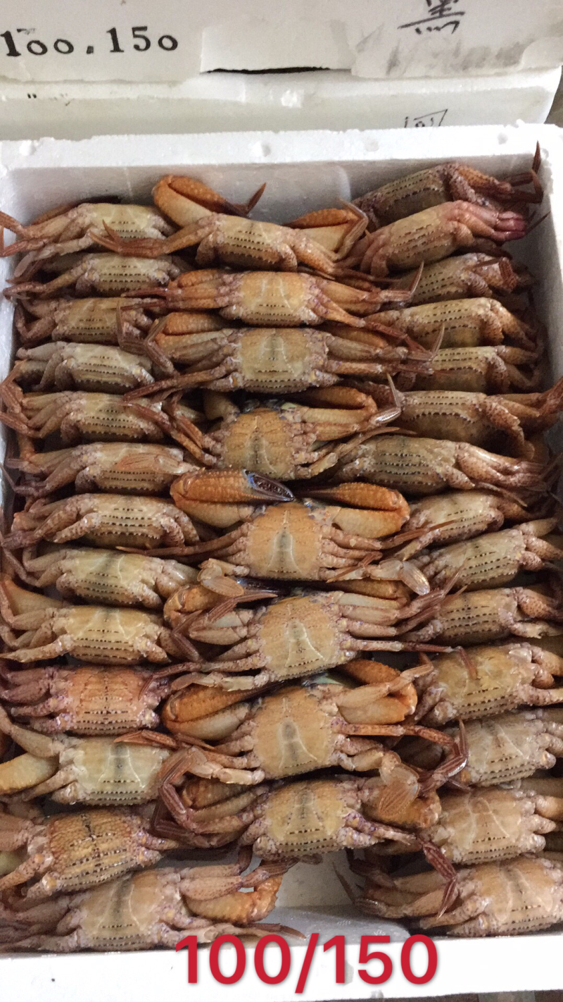 冻黑蟹肉质饱满源自深海，产地发货，质量保证欢迎联系