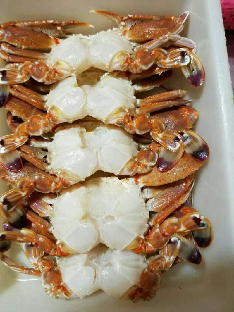 扁蟹排冻去壳扁蟹蟹肉饱满鲜嫩香甜