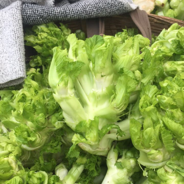 儿菜