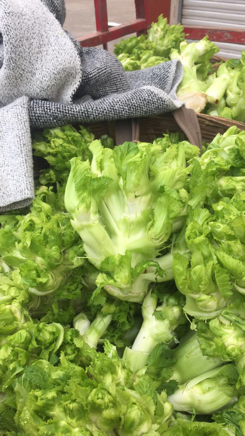 儿菜