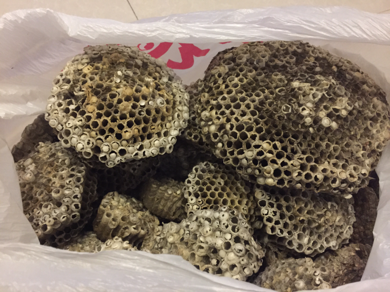 软蜂房马蜂窝东北优质蜂房