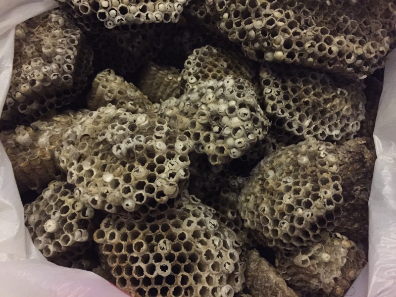 软蜂房马蜂窝东北优质蜂房