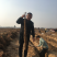 内黄麻山药，刚好纯沙地园滚直流白