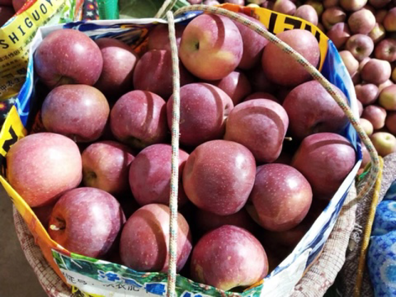 冰糖心苹果2021年大量上市欢迎朋友电话咨询我