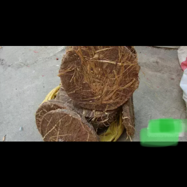 山茶油，茶粕
