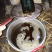 山茶油，茶粕