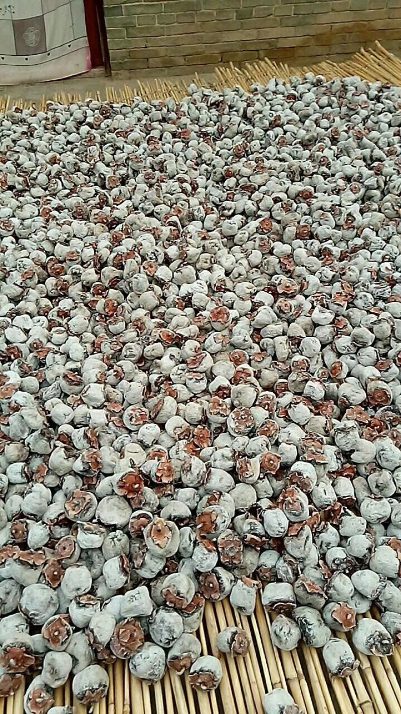 老树白毛柿饼，一级货