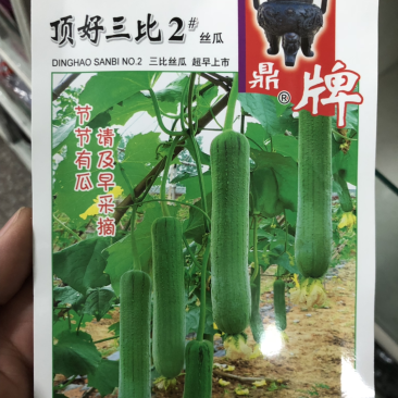 鼎牌丝瓜