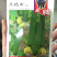 鼎牌丝瓜