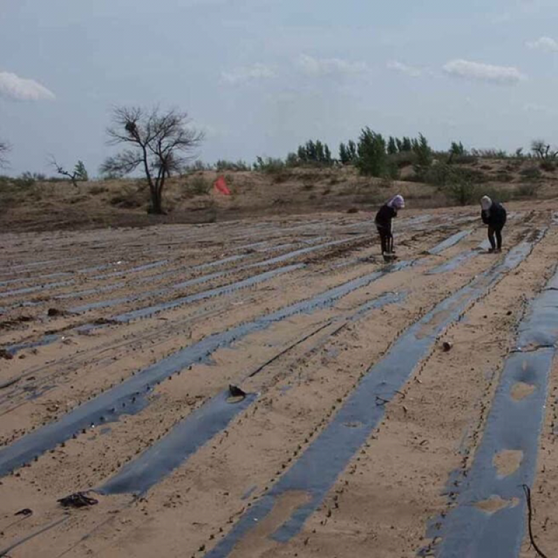 地膜免费包邮黑地膜白地膜厂家直销规格齐全量大提供发票