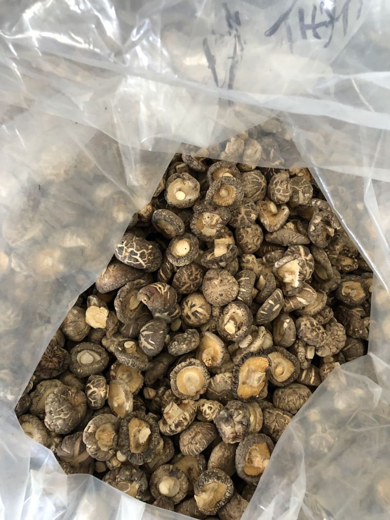 大小型号都有，分拣的很干净，香菇质量也不错。