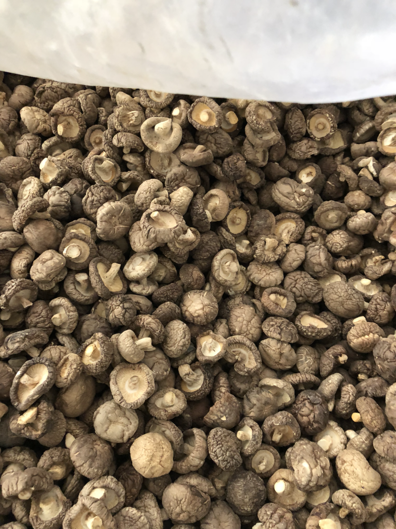 大小型号都有，分拣的很干净，香菇质量也不错。