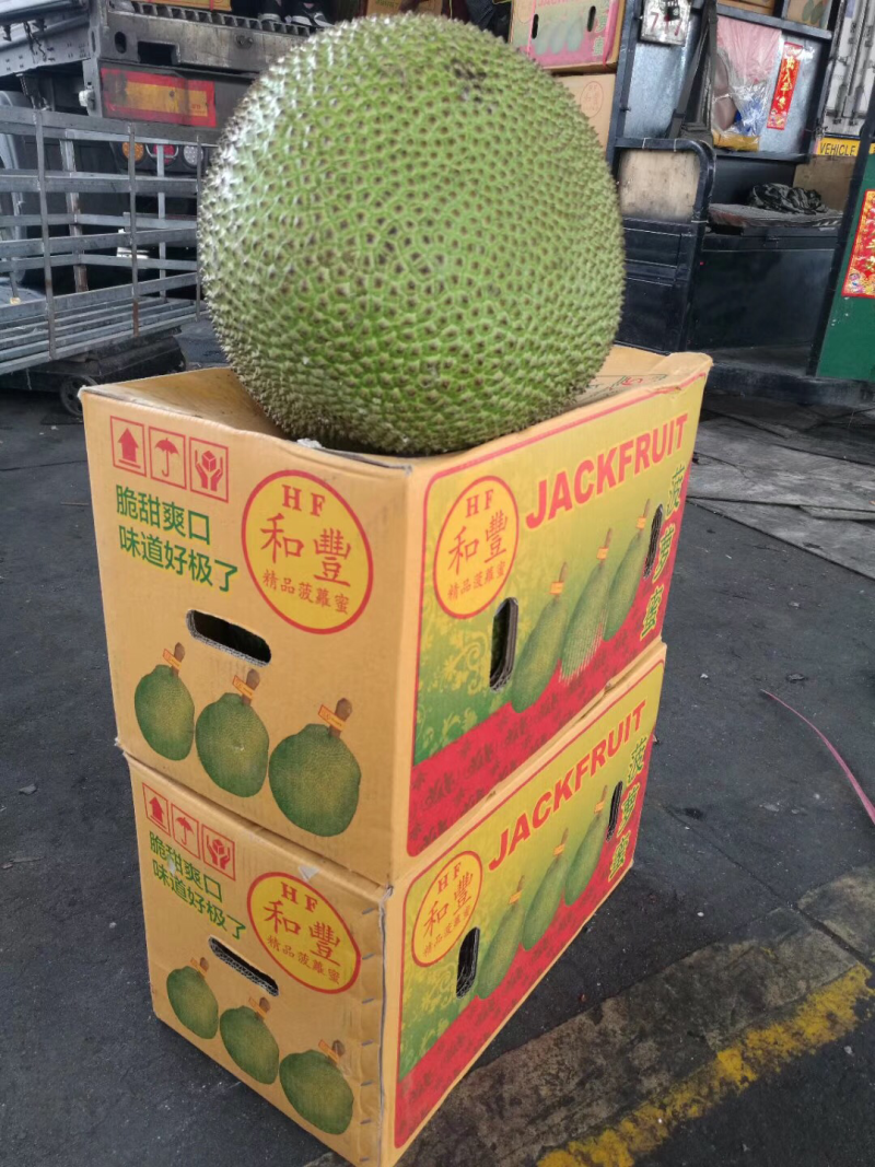 泰国菠萝蜜