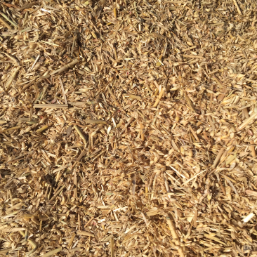 长年供应优质养牛专用麦糠