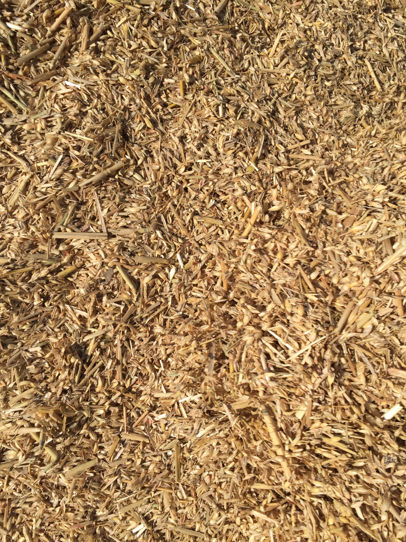 长年供应优质养牛专用麦糠